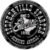 STEPHENVILLE STARTER - logo