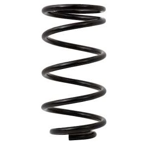 AFCO PIGTAIL REAR SPRINGS